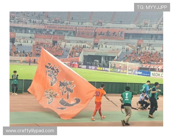 山东泰山济南奥体