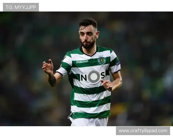 布鲁诺职业生涯解析