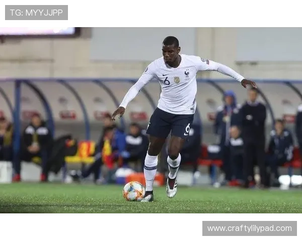 麦迪逊的创造力与最后一传解析 麦迪逊的创造力与最后一传解析